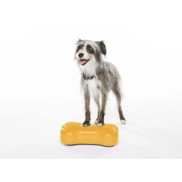 FitPAWS K9FITbone Mini...