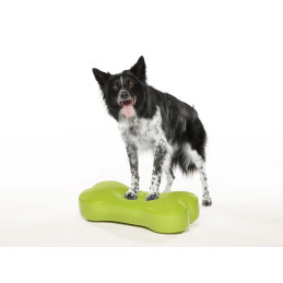 FitPAWS K9FITbone koiran...