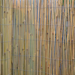 Bambuaita IN GARDEN 5m...