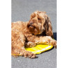 Rosewood Viilennysmatto koiralle pyöreä ø60cm, sitruuna